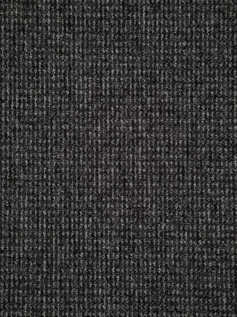 Dynamic 79