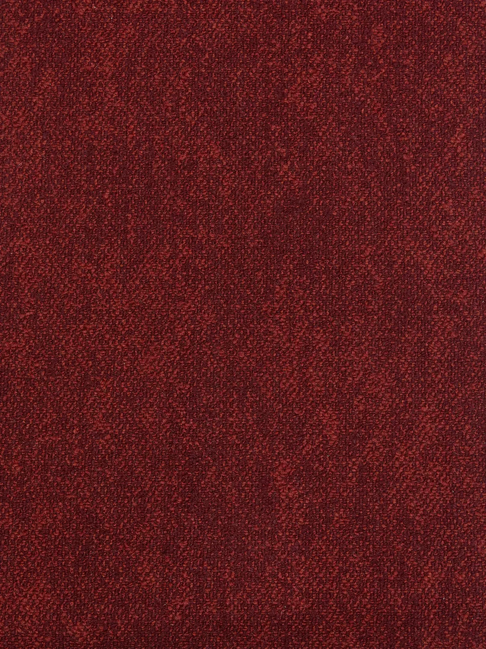 Coral 36