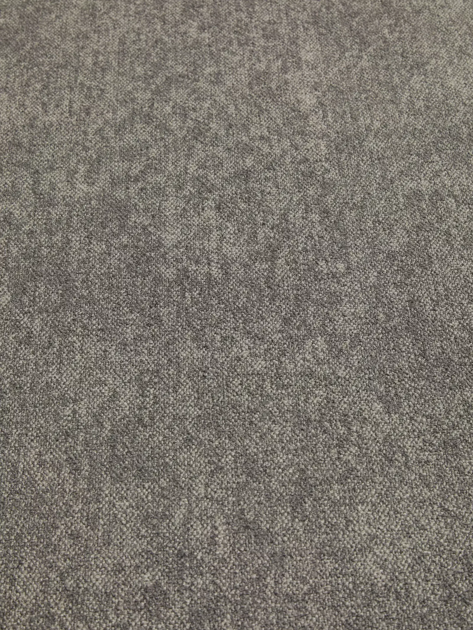 Coral 08