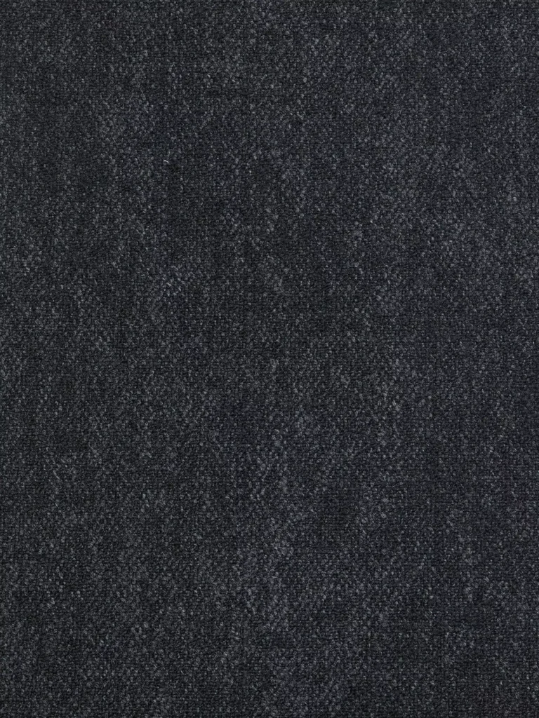 Coral 17