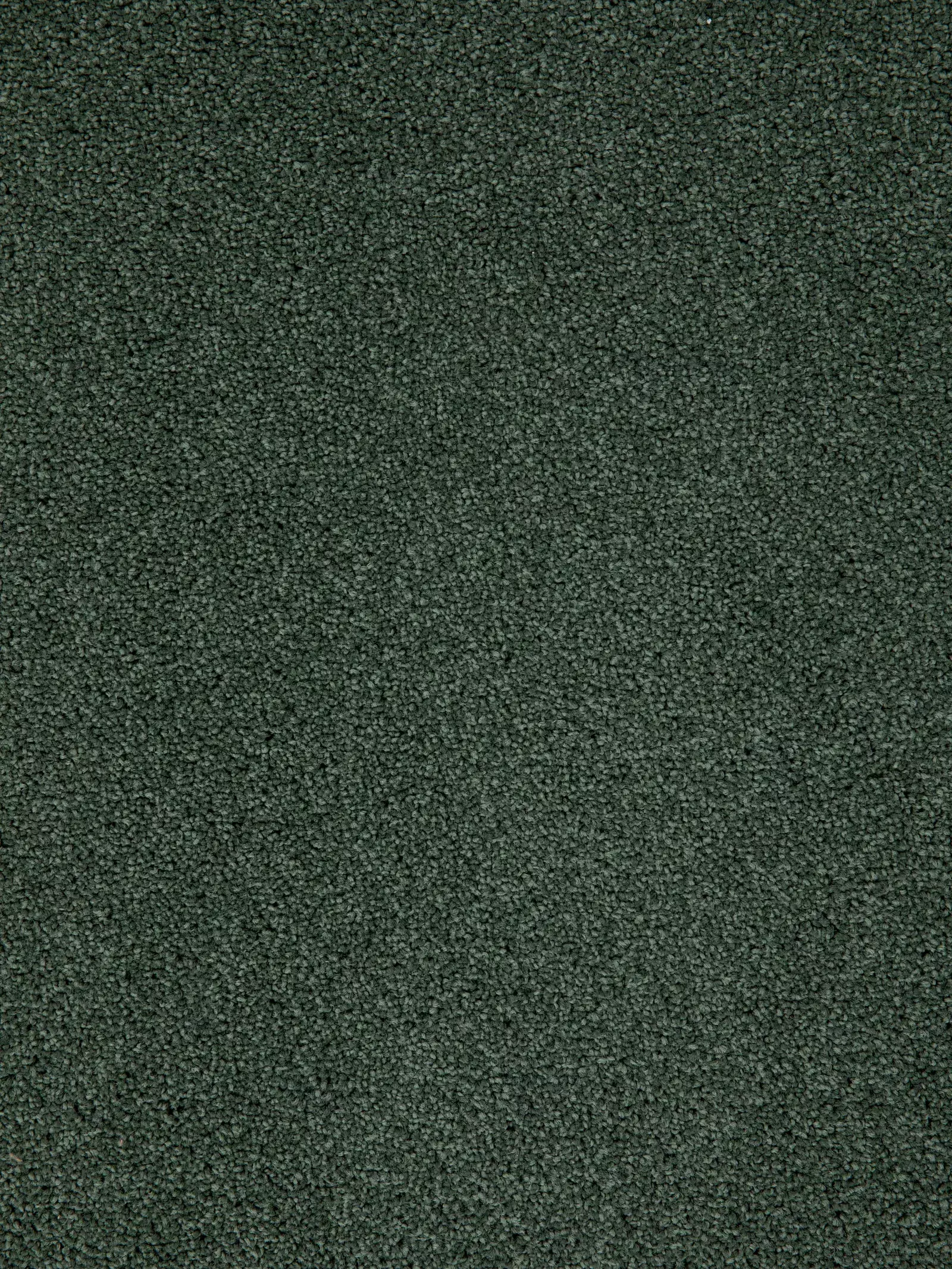 Noble 71